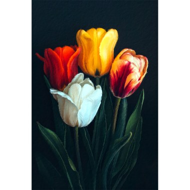 Hollandse tulpen